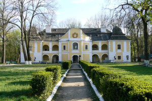 Палац Перені, Виноградів